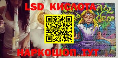 шишки Бузулук