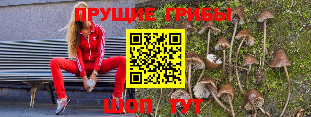 Псилоцибиновые грибы GOLDEN TEACHER  Галлюциногенные грибы Magic Shrooms  Вход с VPN  Фролово 